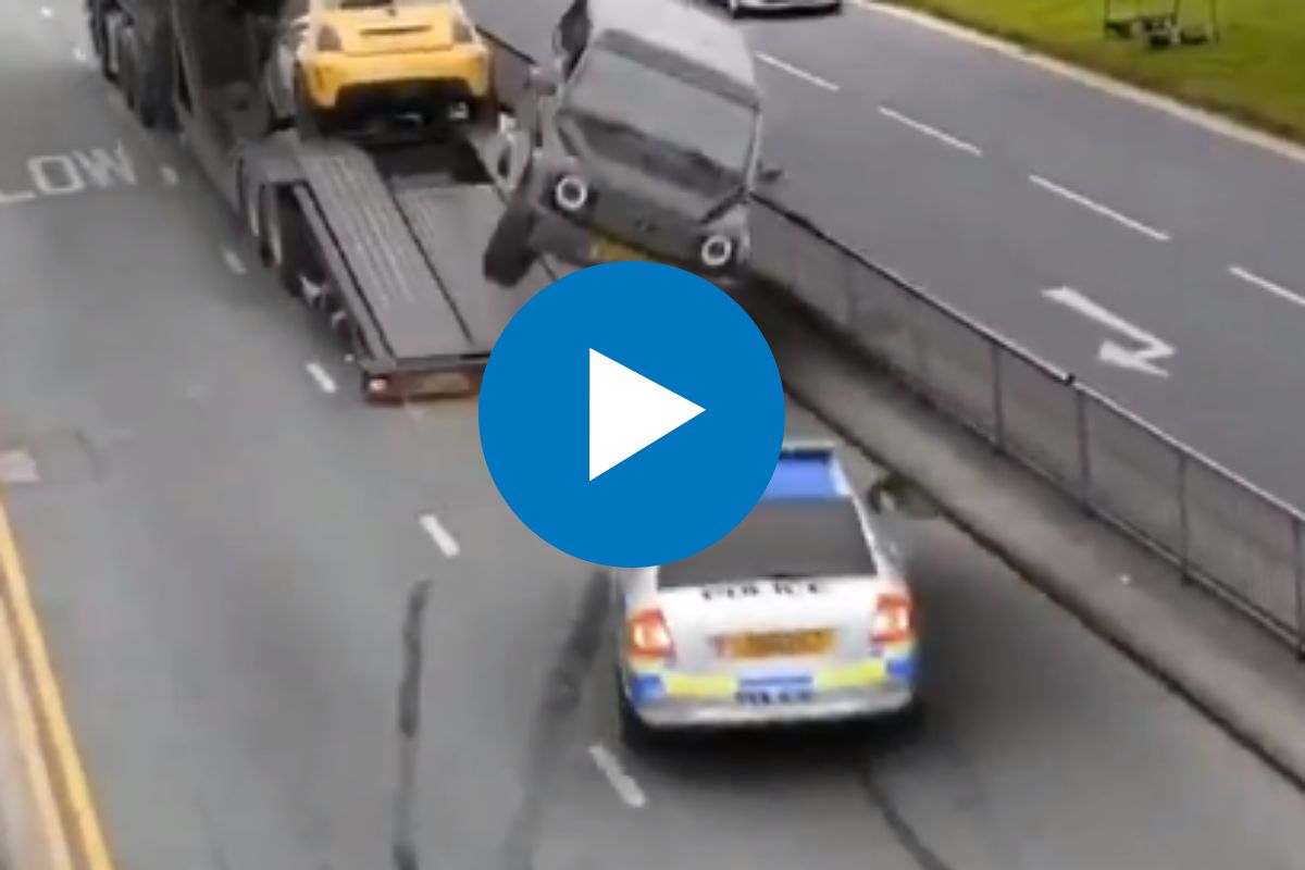 व्हायरल