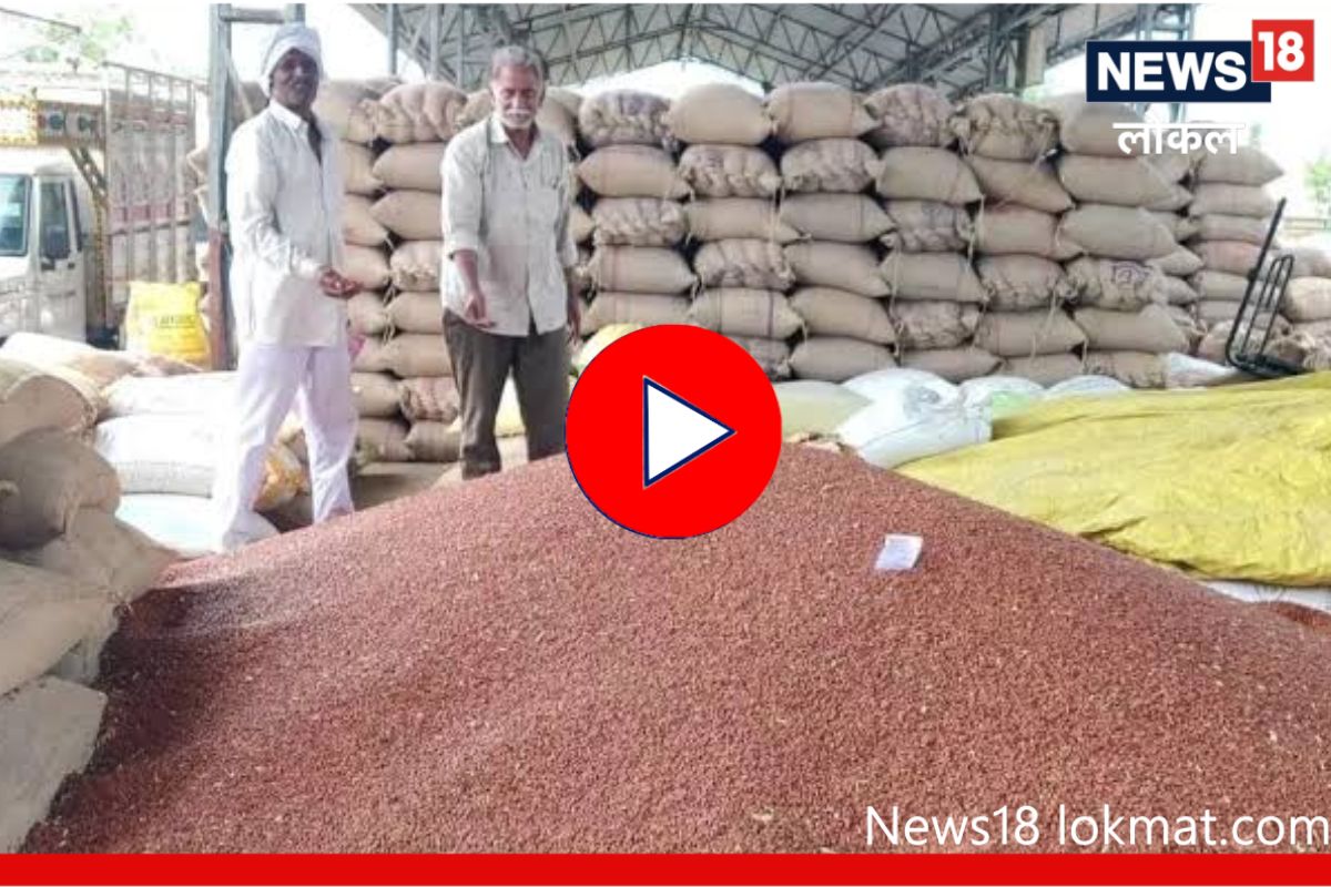 Video : संपूर्ण देशात शिजणाऱ्या लातूरच्या डाळीचं वैशिष्ट्य माहिती आहे?