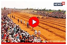 Sangli News: बकासूर-महिब्याने पटकावली थार, पाहा सांगलीतील बैलगाडा शर्यतीचा थरार, Video