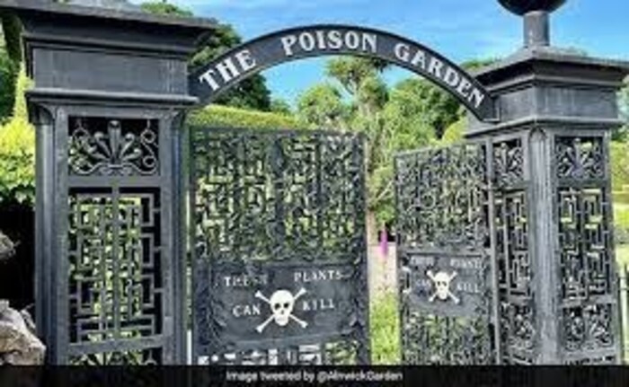 या ठिकाणी येणाऱ्या पर्यटकांना झाडांपासून दूर राहण्याचा सल्ला दिला जातो. 