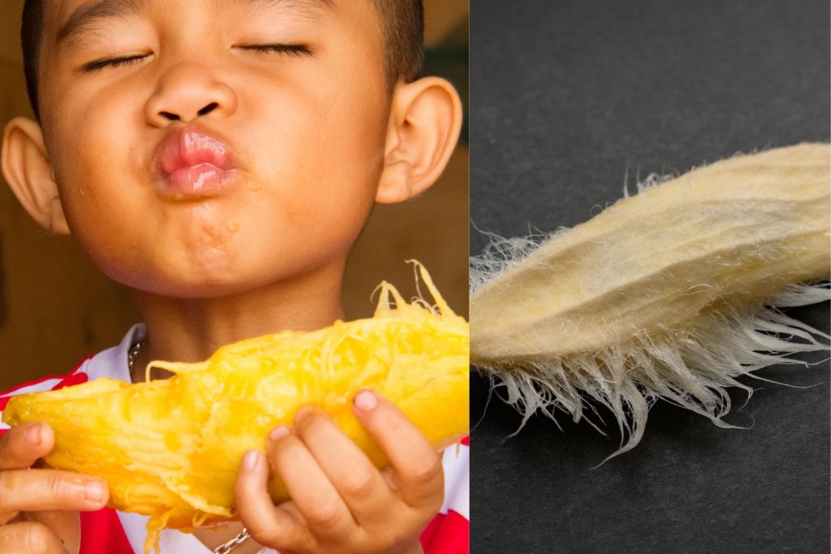 फोटो सौजन्य - Canva