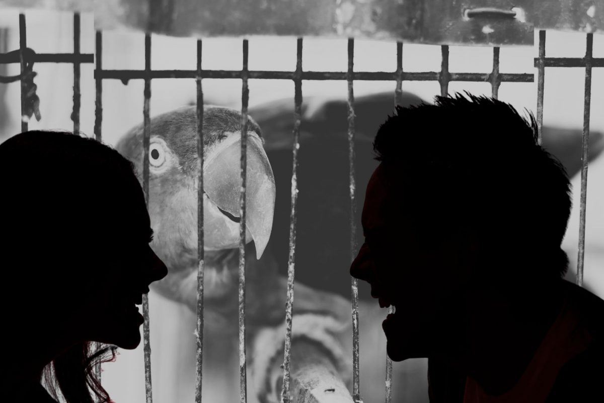 प्रतीकात्मक फोटो (सौजन्य - Canva)