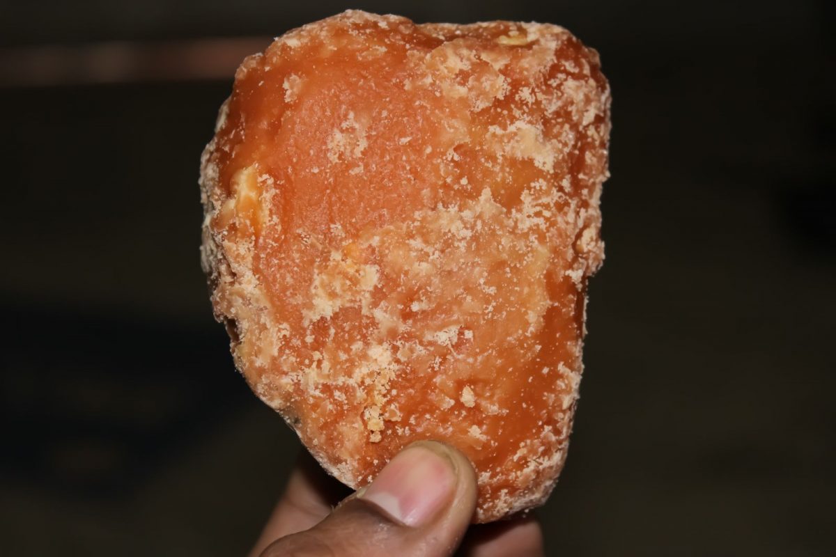 प्रतीकात्मक फोटो (सौजन्य - Canva)