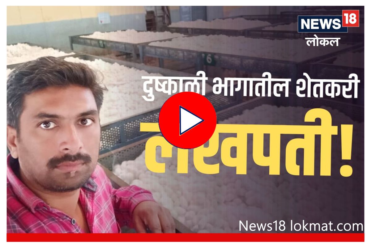 दीड एकर शेतीमध्ये केला नवा प्रयोग, दुष्काळी भागातील शेतकरी झाला लखपती! Video