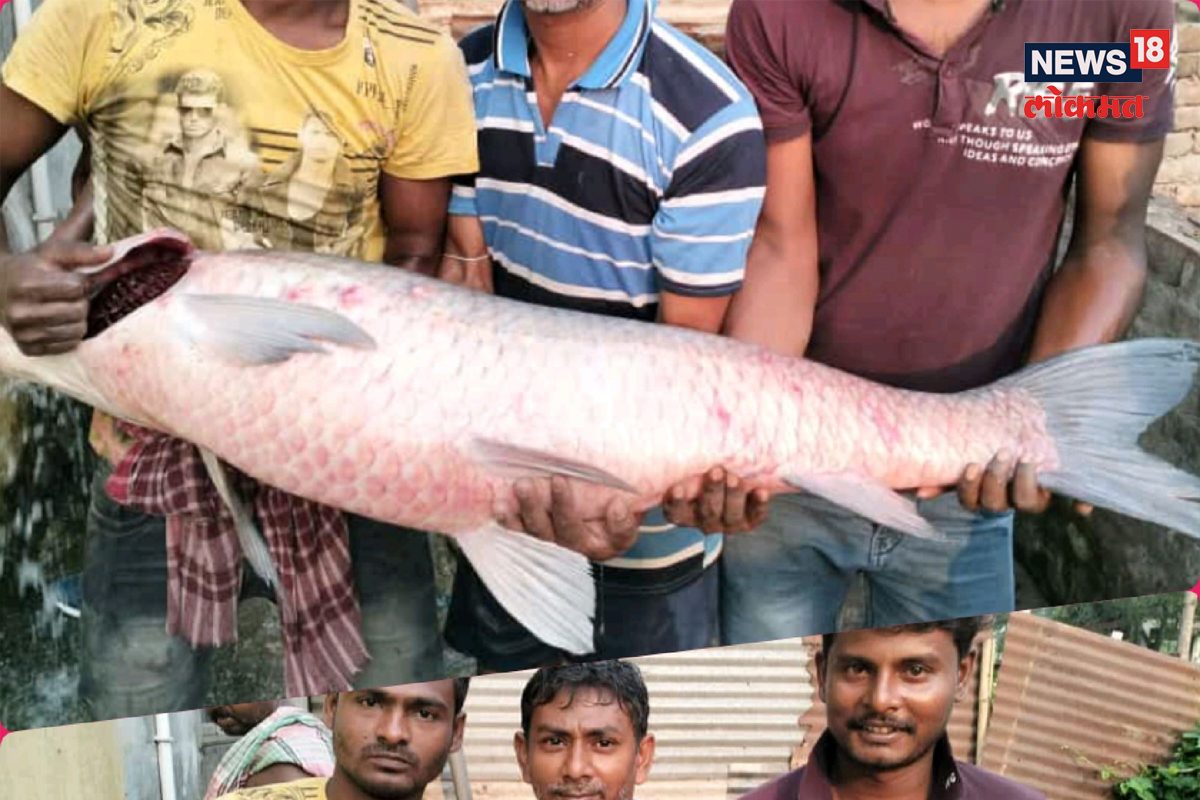 मच्छीमारांचं नशिब फळफळलं!