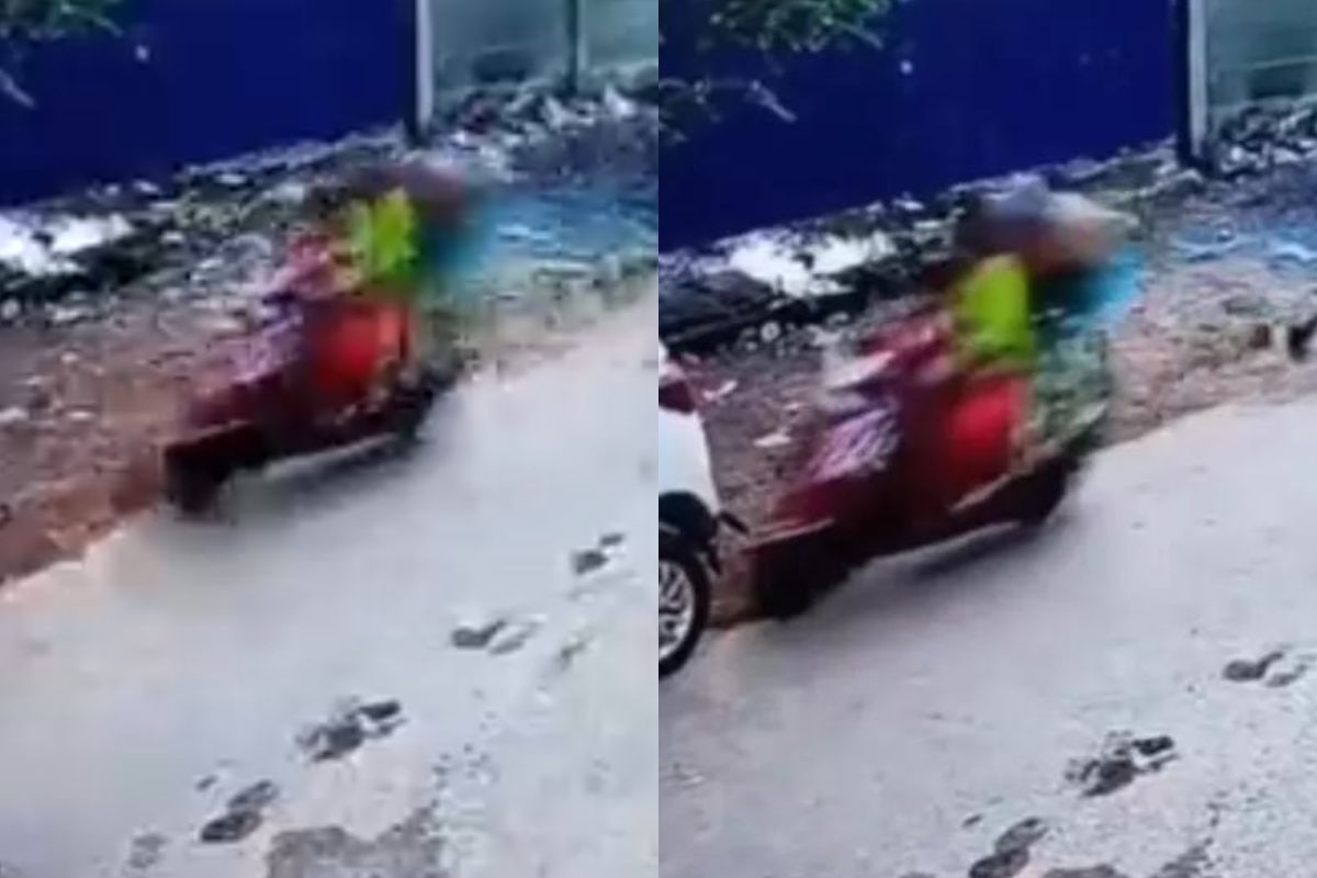 कुत्र्यापासून जीव वचवण्याच्या नादात भीषण अपघात, तिघेही हवेत उडाले पाहा VIDEO