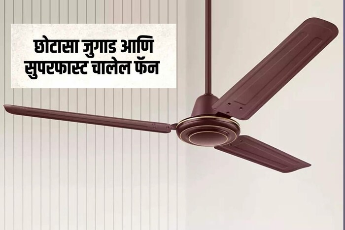 उन्हाळा म्हटलं की, पंखा हा लागतोच. पंख्या शिवाय उन्हाळ्याची कल्पनाही करता येत नाही. पण बऱ्याचदा हळूहळू पंख्याचा वेग कमी होऊ लागतो. मग काय कडक उन्हाळ्यात पंखा वेगाने चालत नसेल तर मोठा प्रॉब्लम होतो. या अशा पंख्याची स्पीड कशी वाढवायची? याविषयीच आपण जाणून घेऊया. 