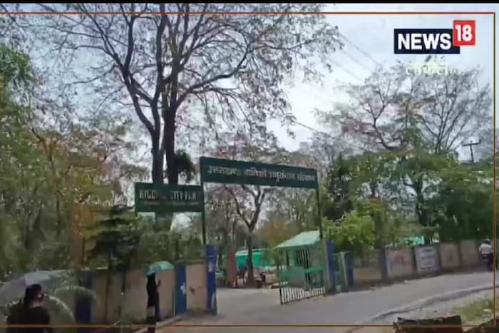 या झाडाबाबत अधिक माहितीसाठी किंवा हे झाड खरेदी करण्यासाठी या केंद्राला भेट द्या किंवा 9412958527  या फोन नंबरवर संपर्क साधू शकता.