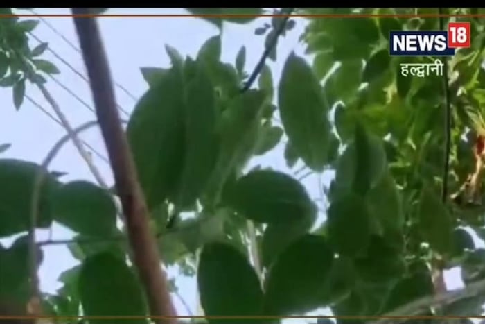 ही माहिती अनुसंधान केंद्राने दिलेल्या माहितीच्या आधारे देण्यात आली आहे. न्यूज18लोकल याचं समर्थन करत नाही किंवा याची हमी देत नाही.