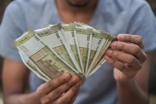 शेवग्याच्या शेंगांचा व्यवसाय 