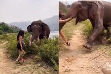 हत्तीसोबत पंगा घेत होती तरुणी; गजराजने हल्ला करताच उडून पडली, Shocking Video