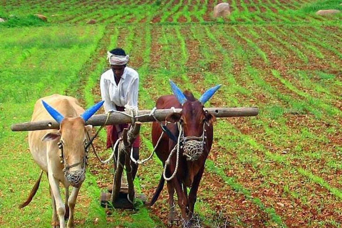 (प्रतिकात्मक फोटो)