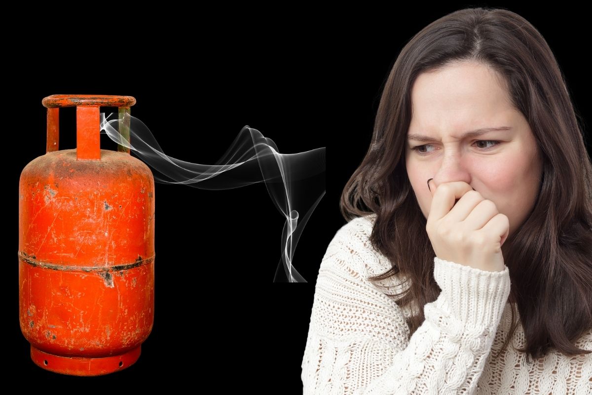 प्रतिकात्मक फोटो