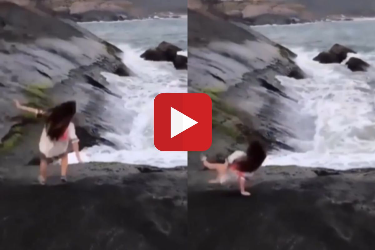 व्हायरल व्हिडीओ