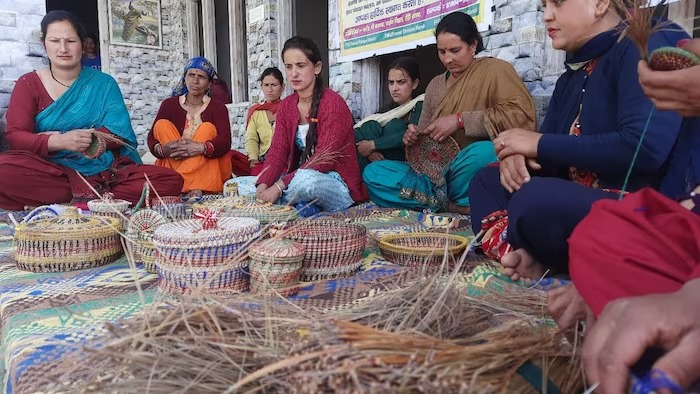 हिमाचल प्रदेशमध्ये पाइन झाडाची पाने जंगलातील आगीचे मुख्य कारण बनत चालली आहेत. यासाठी वन विभागाने एक नाविन्यपूर्ण उपक्रम राबवला आहे. त्या पानांचा वापर करून जंगले वाचवण्याचे काम केले जात आहे. तसेच यातून उत्पन्न ही मिळवले जात आहे.