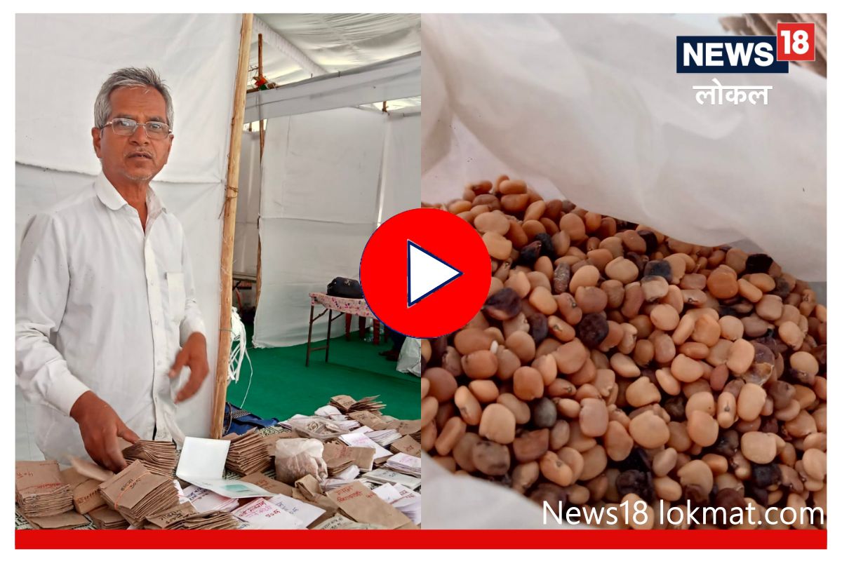 3 पिढ्यांपासून देशी बियांचं संवर्धन करणारं कुटुंब, पाहा काय आहेत आरोग्याला फायदे Video