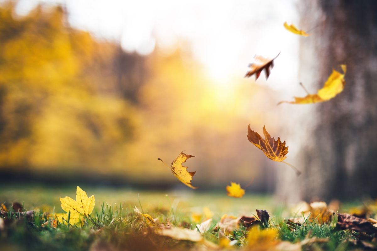 प्रतिकात्मक फोटो