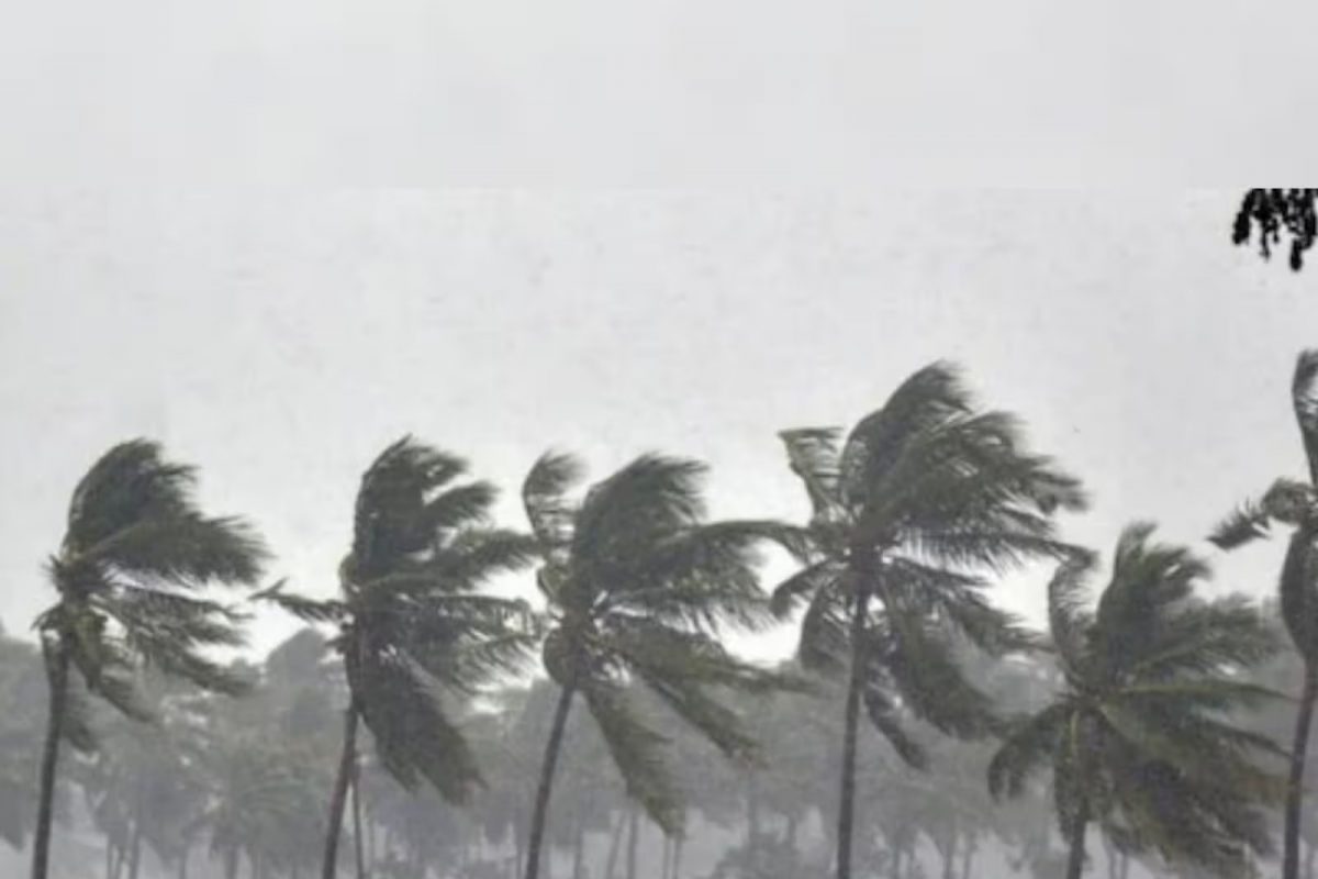 Maharashtra Weather Update : पावसाबाबत हवामान खात्याची मोठी माहिती , राज्यातील 9 जिल्ह्याना सर्तकतेचा इशारा