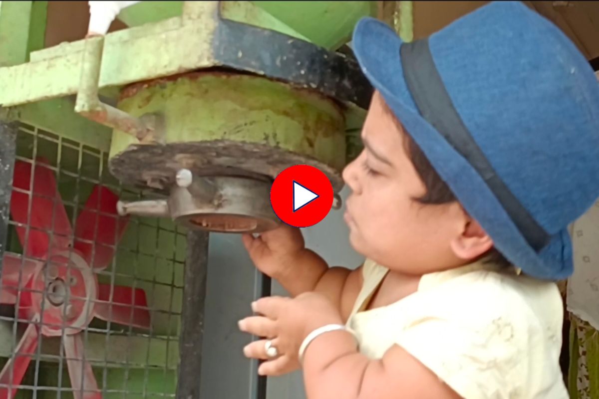 मूर्ती लहान पण... 3 फूट उंचीच्या महिलेनं सुरू केला स्वत:चा व्यवसाय, पाहा प्रेरणादायी Video