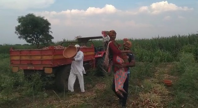 लय भारी, कारभारी! शेतकरी नवरा-बायकोला लागली पोलीस भरतीची लॅाटरी!