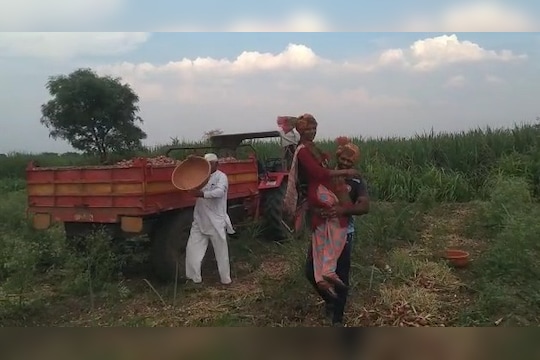 लय भारी, कारभारी! शेतकरी नवरा-बायकोला लागली पोलीस भरतीची लॅाटरी!