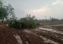राज्यात गारपीट वादळी पावसाचे थैमान सुरूच, पुढचे 48 तास अतिमहत्वाचे