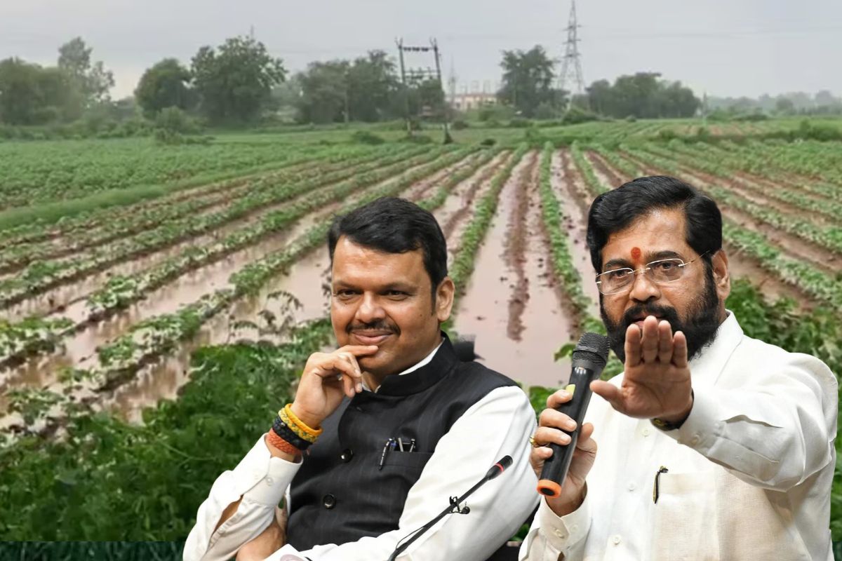 अवकाळी पाऊस आता नैसर्गिक आपत्ती, शिंदे सरकारचा शेतकऱ्यांसाठी मोठा निर्णय