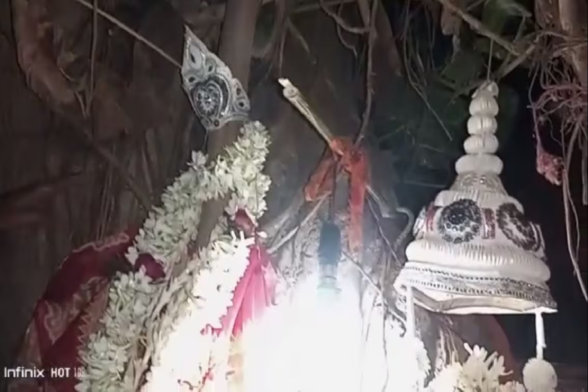 मंगळ असलेल्या माणसाने झाडाशी लग्न केल्याचं तुम्हाला माहिती असेल. त्यामुळे ते आता तुमच्यासाठी नवं नाही. पण आता दोन झाडांचंच लग्न लावण्यात आलं आहे.
