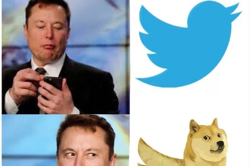 Twitter Logo Changed: Elon Musk यांना झालंय काय? ट्विटरची चिमणी बदलली, दिसतोय कुत्र्याचा लोगो