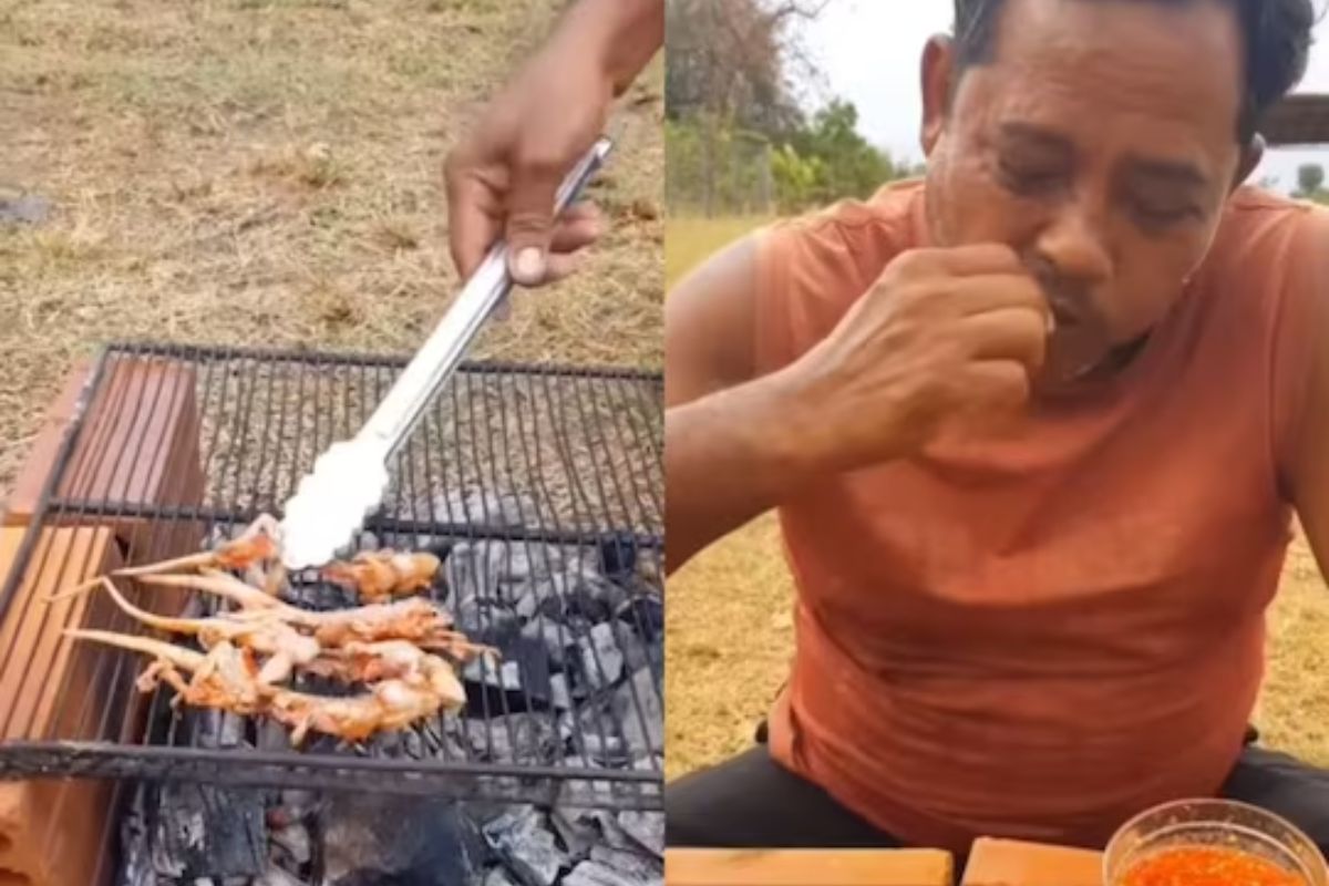 व्हायरल व्हिडीओ