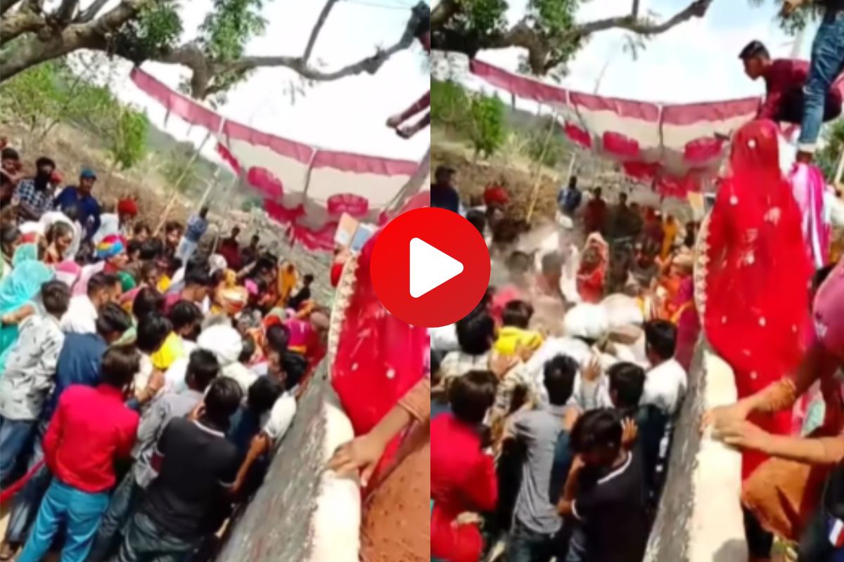 व्हायरल व्हिडीओ