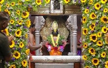 Photos : सूर्यफुलांनी सजला विठुरायाचा गाभारा, पाहा चैत्र एकादशीची पूजा