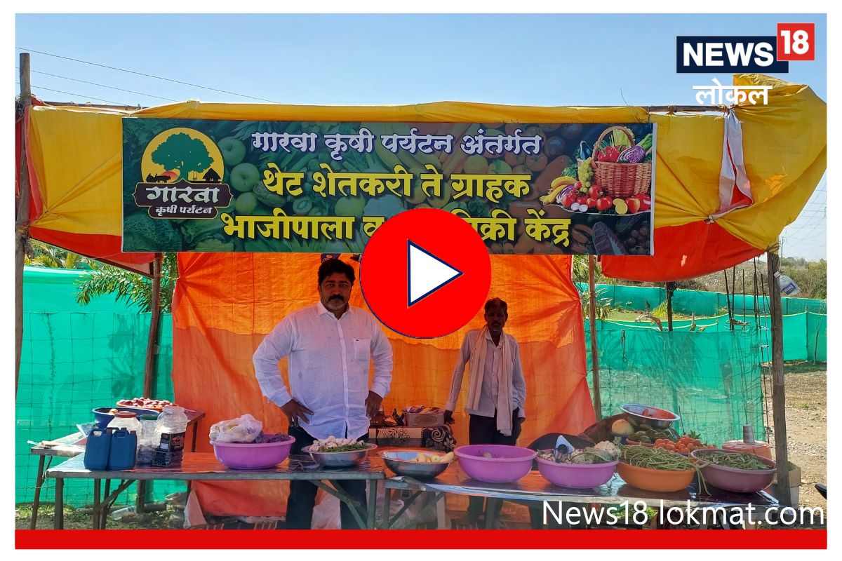 Success Story: शेतकऱ्यानं चालवलं डोकं, कमी खर्चात करतोय लाखोंची कमाई, Video