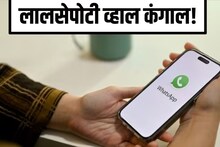 व्हॉट्सअ‍ॅप, यूट्यूब व्हिडिओ, लाइक आणि नंतर स्कॅम! लालसेपोटी व्हाल कंगाल