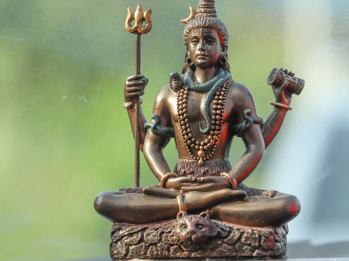 समुद्रमंथनाची कथाही तुम्हा सर्वांना माहिती असेलच. यादरम्यान हलहल नावाचे विष बाहेर आले. या जगाचे रक्षण व्हावे म्हणून देवाधिदेव महादेवाने त्याचे सेवन केले. विष प्राशन केल्यानंतर त्यांच्या घशात विष जमा झाले होते, त्यामुळे त्यांना नीलकंठ असेही संबोधले जात होते. (इमेज क्रेडिट: कॅनव्हा)