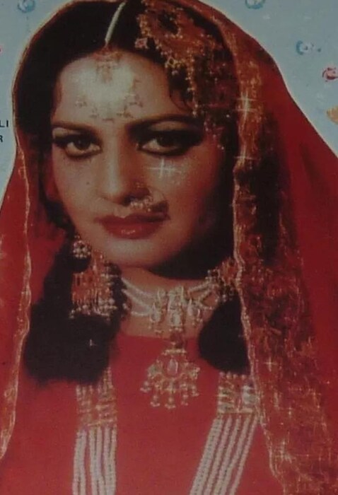 रानी बेगमने 1962 मध्ये चित्रपटसृष्टीत पदार्पण केलं होतं. मात्र 1966 मध्ये आलेल्या 'देवर-भाभी' या चित्रपटाने तिला ओळख मिळवून दिली होती. त्यांनी अनेक हिट चित्रपटांमध्ये काम केलं आहे. 'मेरा घर मेरी जन्नत', 'बाबुल' आणि 'सोना चांदी' या चित्रपटांसाठी त्यांना पाकिस्तानचा निगार पुरस्कार मिळाला होता. 'अंजुमन' चित्रपटामध्ये रानीचा अभिनय इतका जबरदस्त होता की, दिग्दर्शक हसन तारिक तिच्या प्रेमात पडले होते. 
