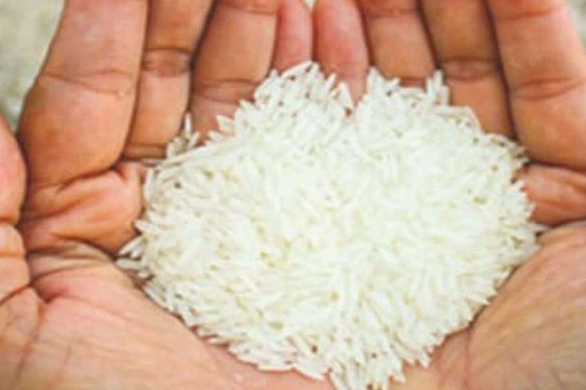 भारतामध्ये तांदळाकडे मुख्य अन्न म्हणून पाहिलं जातं, भारतीयांच्या आहारात मोठ्या प्रमाणात तांदळाचा वापर होतो.
