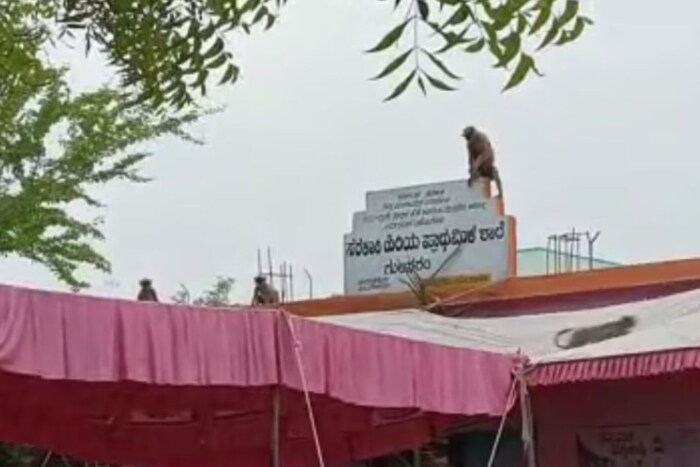 दुसरीकडे यादगिरी येथील एका मतदान केंद्रावर माकडांनी धुडूगूस घातला आहे. माकडांच्या उपद्रवामुळे निवडणूक अधिकारी हैराण झाले आहेत. यादगिरी जिल्ह्यातल्या वडगेरा तालुक्यातील ही घटना आहे. 