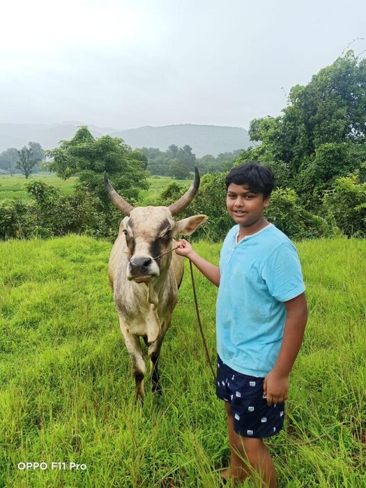 त्याच्या खोलीत मोठी बाल्कनी होती. रात्री 11.30 च्या सुमारास सोहम उठला. तो दरवाजा उघडून बाल्कनीत गेला. तो एका कोपऱ्यात गेला जिथं रेलिंग कमी होतं.