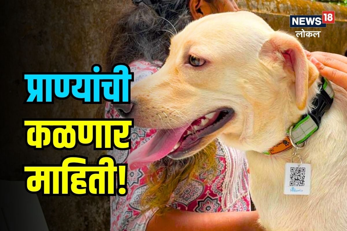 तुमचा श्वान हरवला तर लगेच सापडणार! मुंबईकर तरुणाची भन्नाट आयडिया पाहाच VIDEO