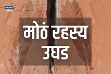 Chandrapur News : आता उलगडणार 20 कोटी वर्षांपूर्वीचा इतिहास, विदर्भाच्या जमिनीत सापडला मोठा खजिना! Video