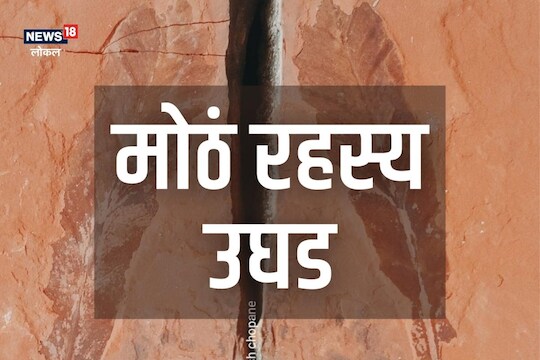 Chandrapur News : आता उलगडणार 20 कोटी वर्षांपूर्वीचा इतिहास, विदर्भाच्या जमिनीत सापडला मोठा खजिना! Video