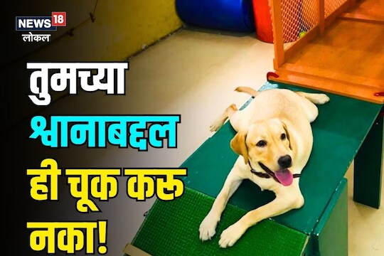 तुमच्या लाडक्या श्वानाचा पेट हाऊसमध्ये ठेवताय?  हे जर माहित नसेल आहे मोठा धोका