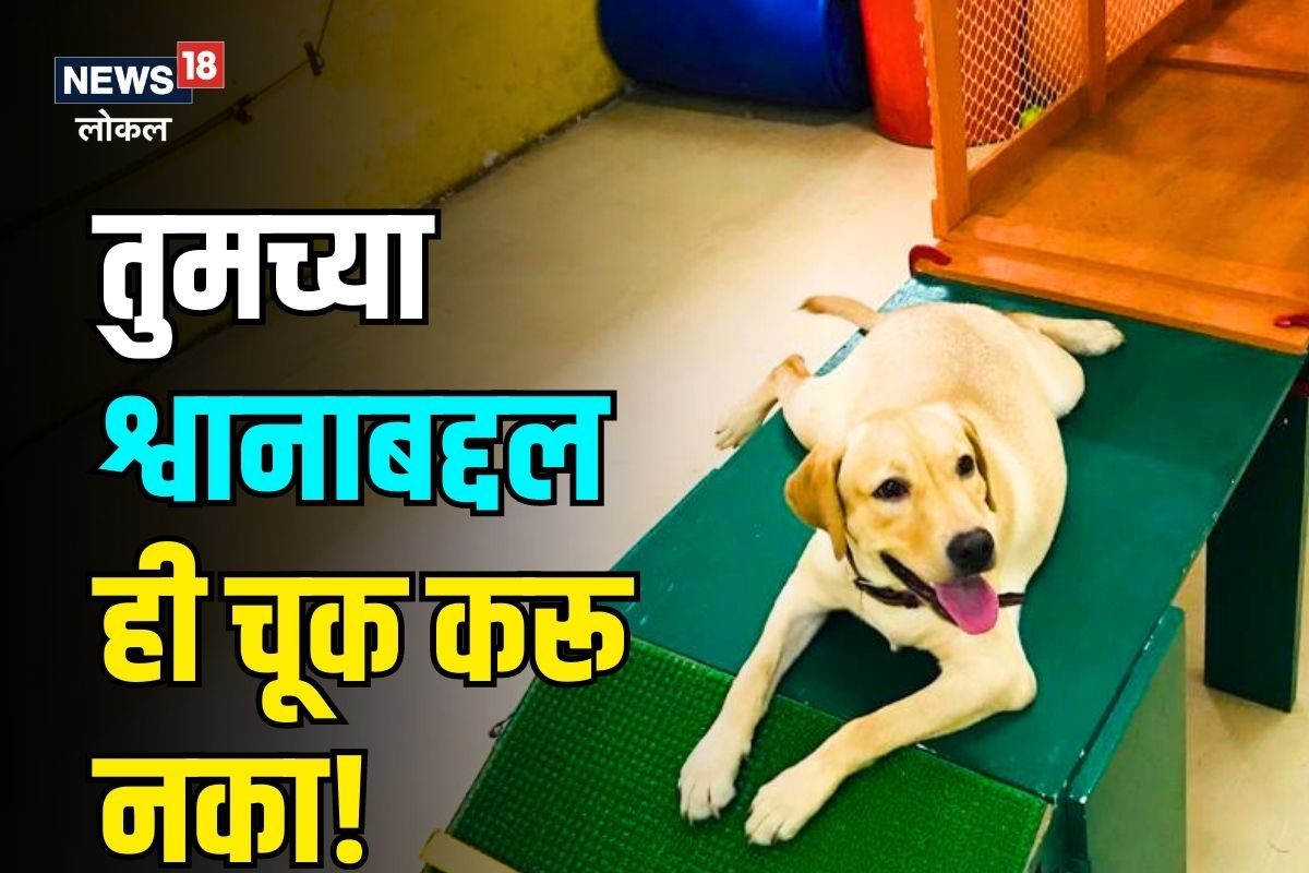 तुमच्या लाडक्या श्वानाचा पेट हाऊसमध्ये ठेवताय? हे जर माहित नसेल आहे मोठा धोका