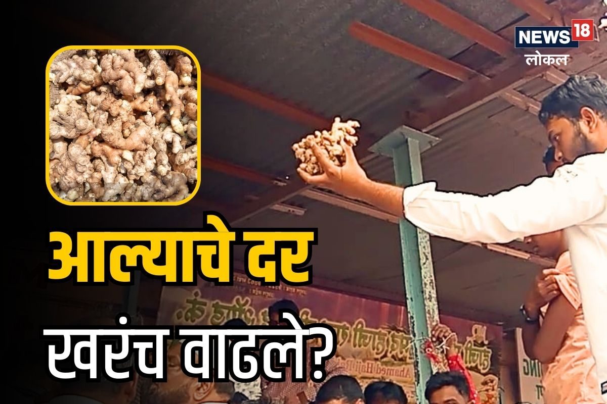 आल्याला का आला सोन्याचा भाव? शेतकरी राजा खूश पण बाजारात नेमकं घडलं काय? Video