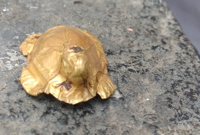 सोन्याचे कासव मंदिराच्या विश्वस्तांनी ताब्यात घेतले असून ते जवळपास एक तोळ्याचे असल्याचे सांगण्यात आले. भाविक कासवाची मनोभावाने पूजा करत असून नवीन मंदिर उभारणीनंतर ते पुन्हा पूर्ववत ठेवण्यात येणार आहे. 