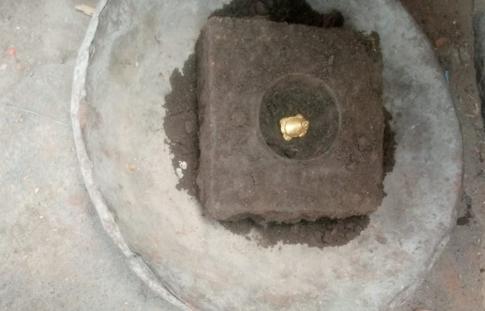 पुरुषोत्तमाच्या मूर्तीच्या समोरच महादेवाची पिंड आहे. मूर्ती समोर असलेली महादेवाची पिंडी हलविली असता पिंडीखाली सोन्याचे कासव आढळून आले आहे. 