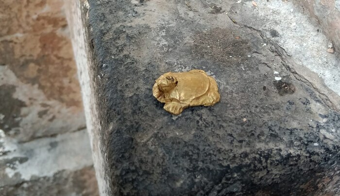 सोन्याचे हे कासव सातशे वर्षांपूर्वी मंदिर निर्माण करतेवेळी पिंडीखाली ठेवले असावे, असे विश्वस्त विजय गोळेकर यांनी सांगितले आहे.