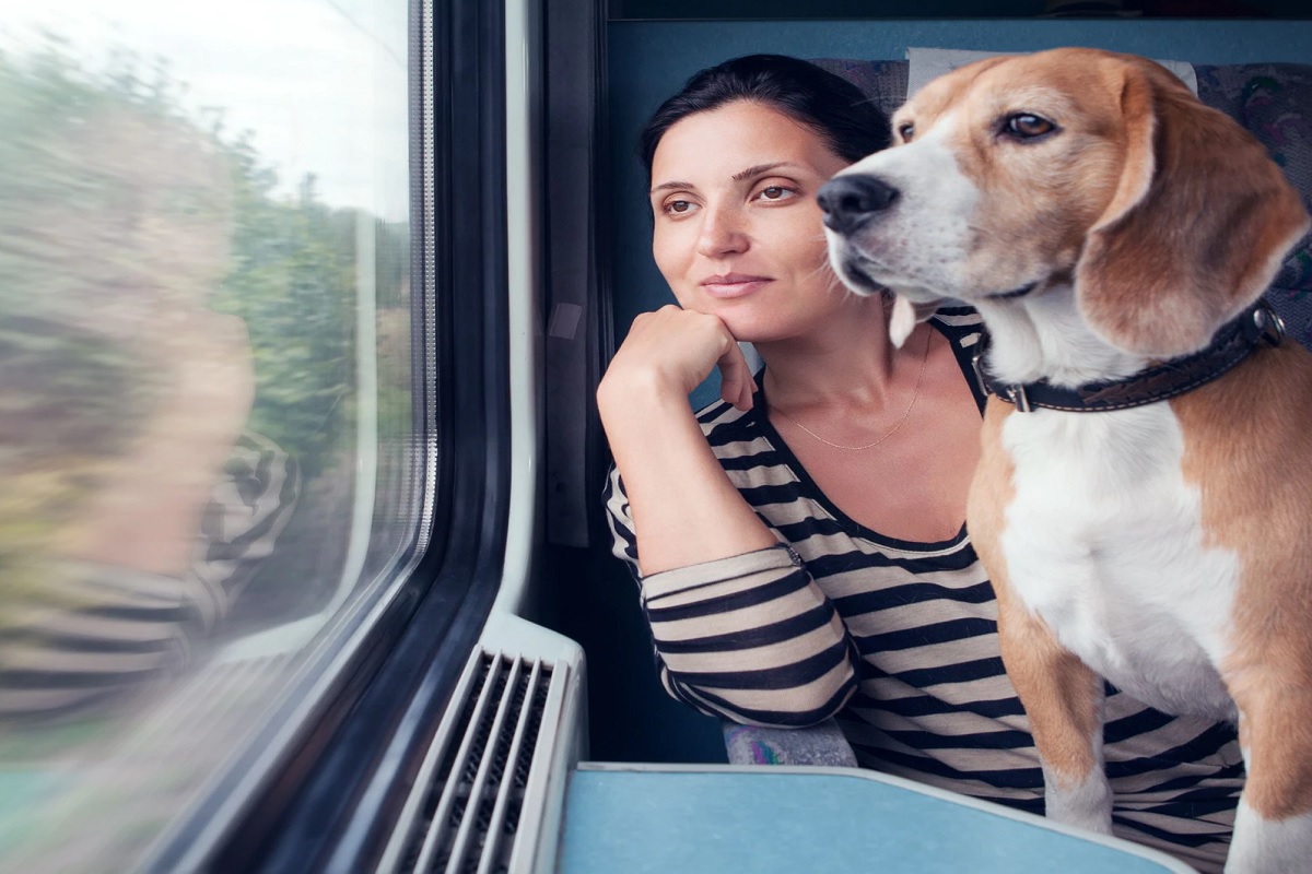 आयआरसीटीसी पेट डॉग