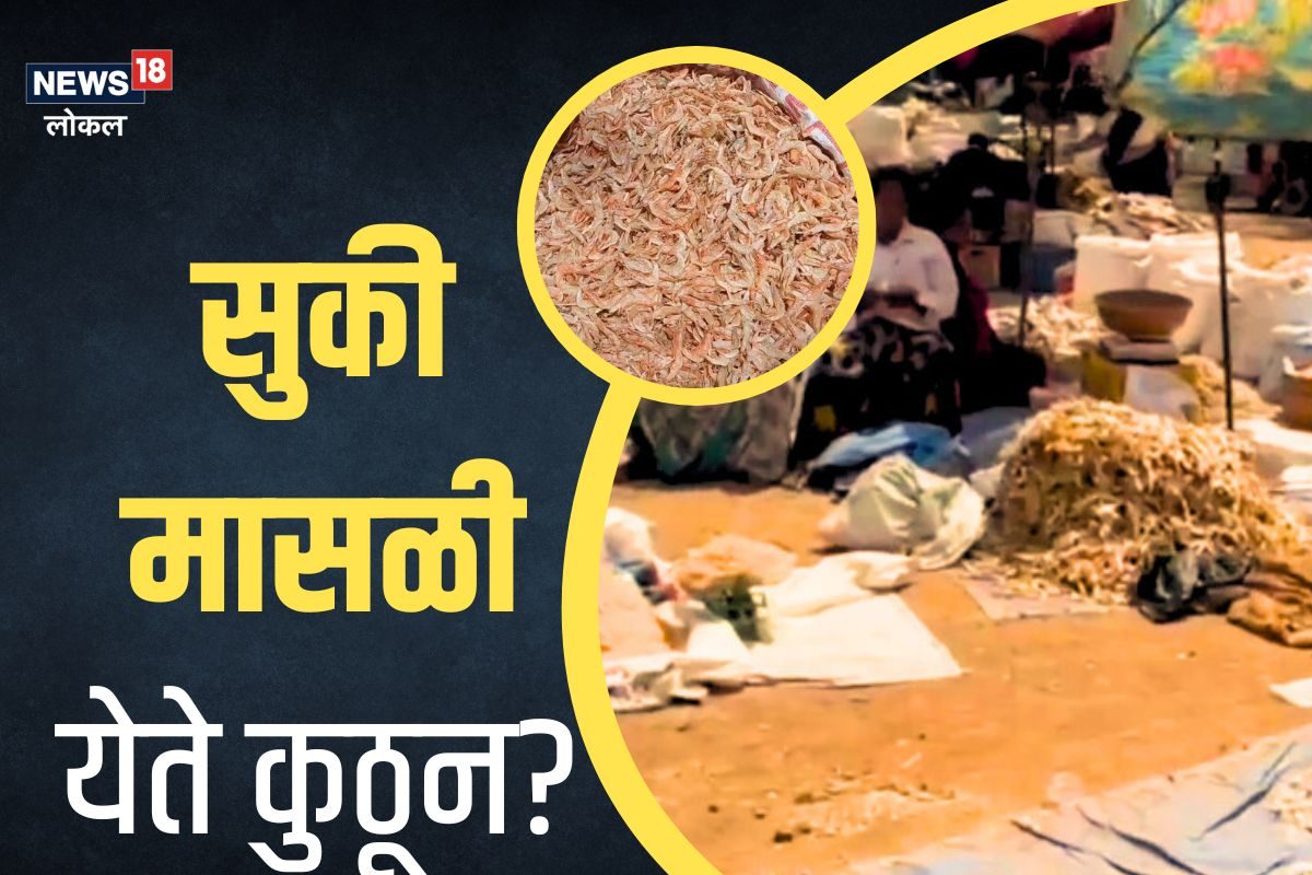 सुकी मासळी येते कुठून? किती आहेत प्रकार? चला तर मग या 100 वर्ष जुन्या बाजारात, Video